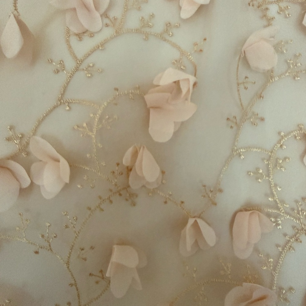 Eva Franco Blush Pink Petal-Appliqué 3D Midi Skirt - Picture 5 of 7